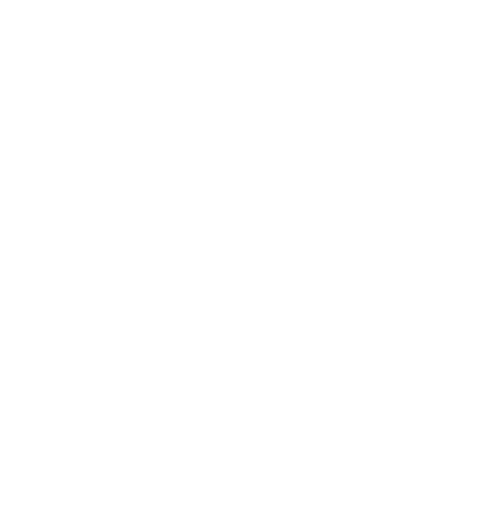 Profesionalismo